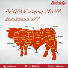 Pin On Daging