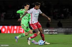 Francisco Nevarez of Juarez and Agustin Almendra of Necaxa fight ...