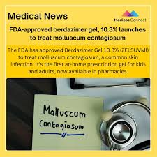 Image result for Berdazimer