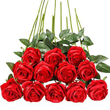 We did not find results for: Tifuly 12pcs Rose Artificial Flower Single Stem Fake Floral Bridal Wedding Bouquet Realistic Blossom Flora For Home Garden Party Hotel Office Decorations Red Pricepulse