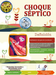 O choque séptico é definido como sendo uma complicação grave da sepse, em que mesmo com a realização do tratamento adequado com a reposição de fluidos e antibióticos, a pessoa continua com a pressão arterial diminuída e níveis de lactato superior a 2 mmol/l. Shock Septico Septicemia Especialidades Medicas
