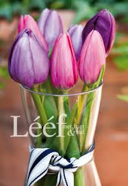 Photographer Candice Askham Pretty Flowers Beautiful Flowers Flower Vases