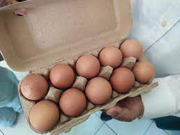 Tips mengupas telur ayam adalah ketika telur ayam sudah matang, angkat lalu masukkan ke dalam air es/air dingin. Heboh Telur Ayam Mengandung Plastik Khofifah Jangan Khawatir Bisnis Tempo Co