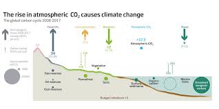 global carbon dioxide emissions