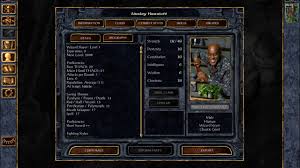 Heart of winter pc has been posted at 20 oct 2010 by dark syther xd and is called party creation guide. Hero Of Zero A Guide To Stats In Baldur S Gate And Icewind Dale