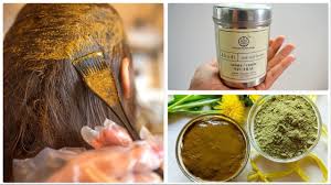 How To Apply Henna மர த ண To Hair Khadi Henna Application Tamil Video Youtube