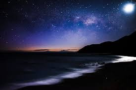 Maybe you would like to learn more about one of these? Gratis Kemegahan Bintang Laut Foto Piqsels