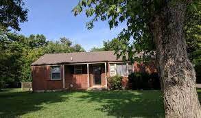 Olympia Plants Tree Olympia