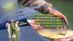 Check spelling or type a new query. Fishing Report March 20th 2020 Youtube