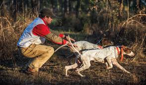 This lets us find the most appropriate writer for any type of assignment. Best Gun Dog E Collars For 2019 Gun Dog