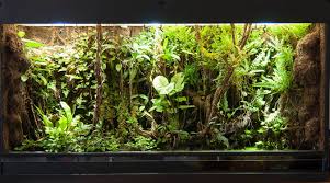 Pin On Terrariums