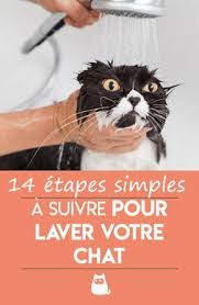 Epingle Sur Yeux Dessin