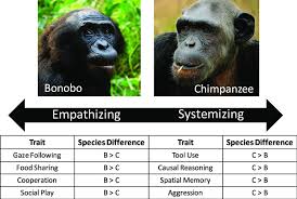 Изучайте релизы bonobos на discogs. Cognitive And Behavioral Differences Between Chimpanzees And Bonobos Download Scientific Diagram