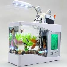 Aquarium unik ingin memberikan alternatif aquarium kepada anda agar dapat menambah koleksi aquarium anda, kami ingin memberikan yang terbaik untuk anda, dengan bahan yang alami, bambu. Jual Jual Aquarium Unik Dengan Tempat Bolpen Dan Hp Lampu Led Dan Jam Jakarta Barat Apaajaadee Tokopedia