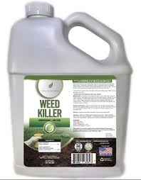 Homemade clover killer with vinegar. Amazon Com Natural Elements Weed Killer Pet Safe Safe Around Children Natural Herbicide 1 Gallon Garden Outdoor