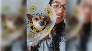 AHS Announces $50,000 Grant From Nina Mason Pulliam Charitable Trust