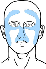 Benign and malignant cutaneous nasal lesions
