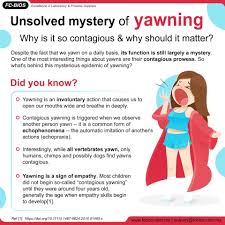 Image result for Echophenomena