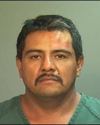 Man arrested in window-peeping incidents facing felony counts