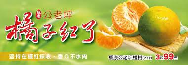 台灣楓康超市網購店 fruit taiwan lime