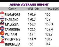 Relative increase in mean heights of females born in 1996 vs. Malaysiaball Indonesiaball 3 0 Has Smallest Pp V Facebook