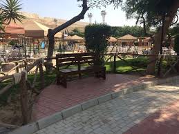 We did not find results for: ØµÙˆØ± Ø§Ù„Ø§Ù†ØªÙ‡Ø§Ø¡ Ù…Ù† ØªØ¬Ø¯ÙŠØ¯ ØªØ±Ø§Ùƒ Ù†Ø§Ø¯Ù‰ ÙˆØ§Ø¯Ù‰ Ø¯Ø¬Ù„Ø© Ø§Ù„Ù…Ø¹Ø§Ø¯Ù‰ Ø¹ÙŠÙ†