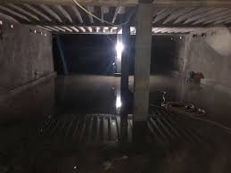 Agar Kelembapan Ruang Tidak Hilang Dunia Walet