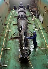 North Charleston S C Confederate Civil War Vessel H L Hunley The World S First Successful Combat Submarine American Civil War Civil War History Civil War