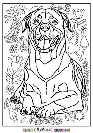 Rottweiler coloring book for adults: Pin On Dog