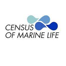 Jun 18, 2021 · the shelf life of a plastic shopping bags in our marine environment with plenty of sunlight, is around 2 years; Census Of Marine Life Home Facebook