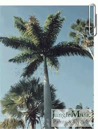 Image result for Roystonea oleracea