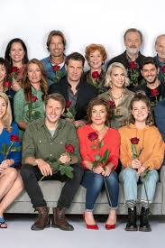 „amelie erfährt nämlich, dass sie schwanger ist. Rote Rosen Sexy Ex Rote Rosen Star Zeigt Wow Body Auf Instagram Gala De