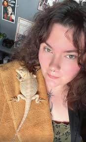 Has anyone bought a sandbox for their baby?