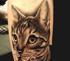 Paling Keren 16 Gambar Tato Hewan 3d Ini Dia 10 Desain Tato Kucing Super Lucu Yang Bisa Kamu Gambar Tato 3d Ikan Koi Pin Oleh Di 2020 Tato Hewan Tato Kucing Hewan
