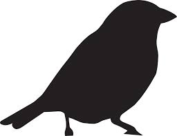 Fledermaus vorlage luxus vogel vorlagen ausdrucken stock. Wanddeko Mit Farbe Diy Academy