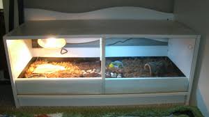 These are furniture, backgrounds, hammocks, and hides. Pin By Vicki Capistran On Capistran Creations Tortoise Enclosure Tortoise Care Russian Tortoise Diet