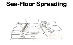 Sea Floor Spreading Worksheet Key Draw, color and learn about rainforests. sea floor spreading worksheet key