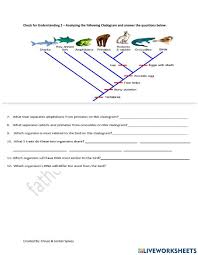 A dna profile is a small set of dna variations that is very likely to be different in all unrelated individuals, thereby being as unique to individuals as are fingerprints (hence. Cladogram Worksheet Answers Quizlet