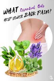 It is regarded as being of most use as an analgesic, especially for arthritis, muscular pain, rheumatism, and as a nervous sedative. What Essential Oils Help Lower Back Pain Organic Aromas