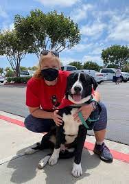 Maybe you would like to learn more about one of these? San Diego Petco Adoption Event 11am 1 30pm Petco Sports Arena San Diego 26 June 2021