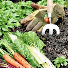 See full list on wikihow.com How To Create A Thriving Organic Garden