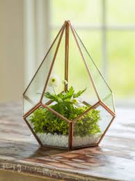 Glass Terrarium Teardrop Tabletop Terrarium Small Terrarium Air Plants Decor Small Terrarium Tabletop Terrarium