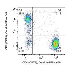 Image result for tbn:2zk3doQCMEVZCM: