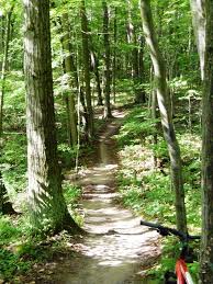 Pin By Rebecca Wauldron On New Places To Explore Places To Go Day Trips Walk In The Woods