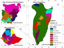 Image result for Achyrospermum schimperi