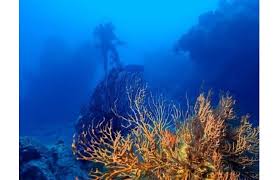 Self guided or guided tours of fort jefferson are available and i highly dry tortugas national park is an amazing place to visit. Dry Tortugas National Park Die Besten Insider Tipps