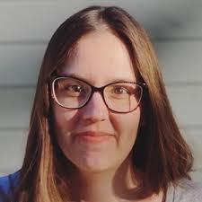 Wiltshire local election: The 5 candidates in Devizes East