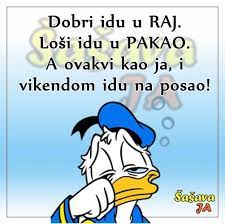 Šašava JA - Šašava JA added a new photo.