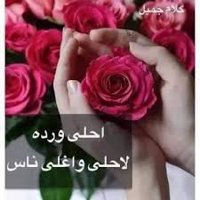 لا تُجبر احداً على المجيء إليك ولا تُخبر احداً انك احتجت إليه فالصادق سيأتيك من دون أن تشعره أنك محتاج إليه. Ø¹Ø¨Ø§Ø±Ø§Øª Ø¹Ù† Ø§Ù„ÙˆØ±Ø¯ Ù„Ùƒ Ø¨Ø§Ù‚Ø© ÙˆØ±Ø¯ Ø§Ø¬Ù…Ù„ ÙˆØ±Ø¯ Ù„Ø§ØºÙ„Ù‰ Ù†Ø§Ø³ Ø±ÙˆØ´Ù‡