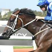 Profile for Punt Buffet